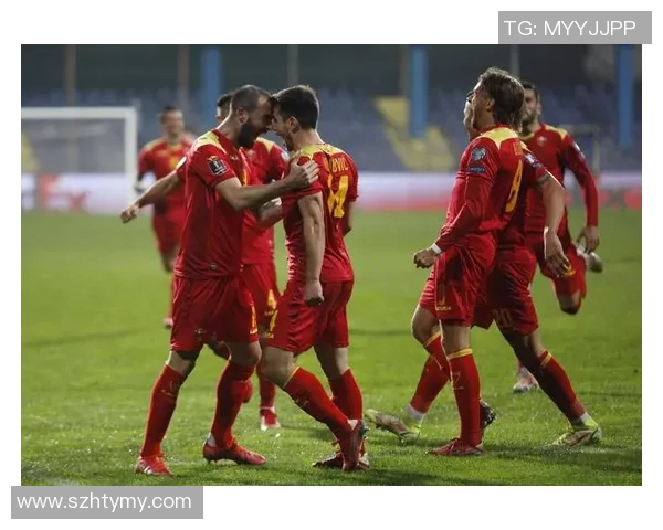 波兰与黑山足球对决全景直播精彩瞬间回顾与分析