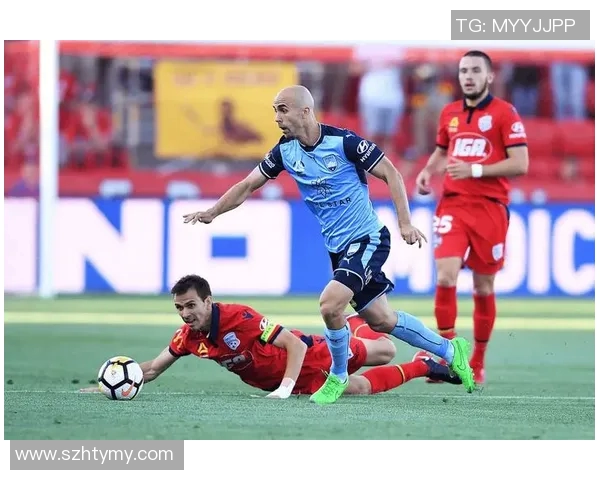 球探惠灵顿对阵悉尼FC精彩对决分析与赛前预测