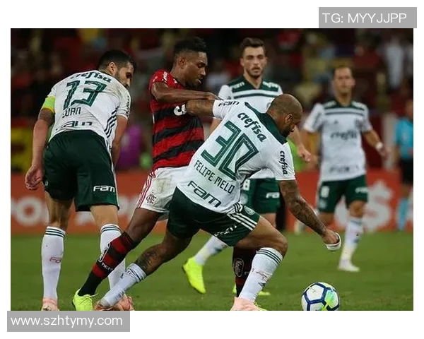 2018年圣保罗与弗拉门戈对决回顾:激情四溢的巴西足球盛宴 2018年圣保罗与弗拉门戈对决回顾:激情四溢的巴西足球盛宴