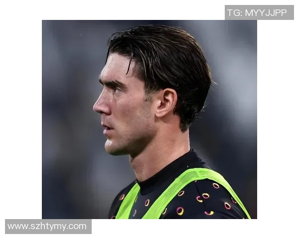 弗拉霍维奇的崛起与未来展望解析足球界的新星魅力与挑战 弗拉霍维奇的崛起与未来展望解析足球界的新星魅力与挑战