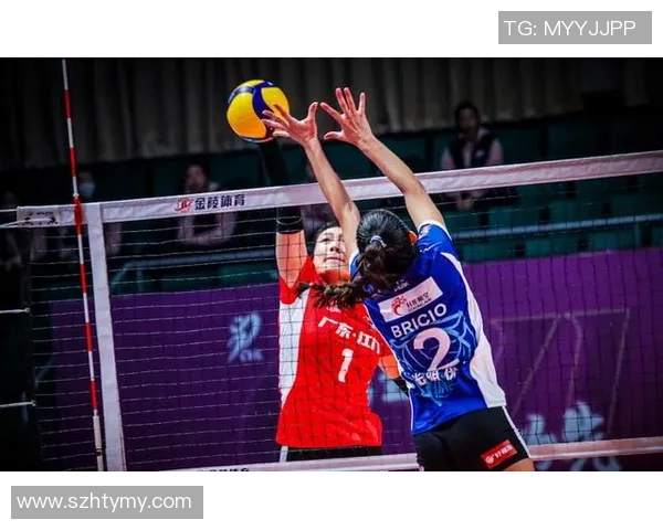 杭州排球队转型之路探索新机遇与挑战的特别报道